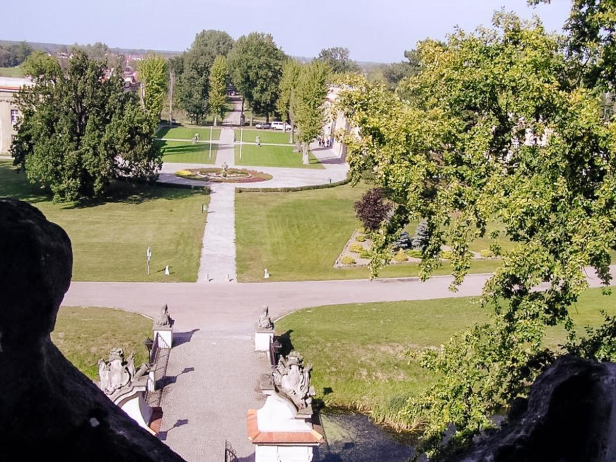 Hotel Zamek Krolewski W Rydzynie Rydzyna Kültér fotó